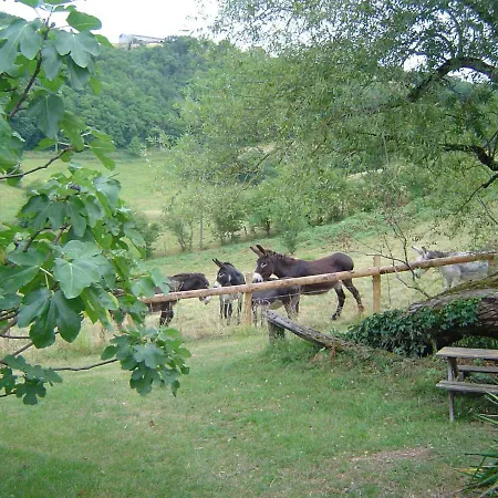 Gitanes Rando Bed & Breakfast